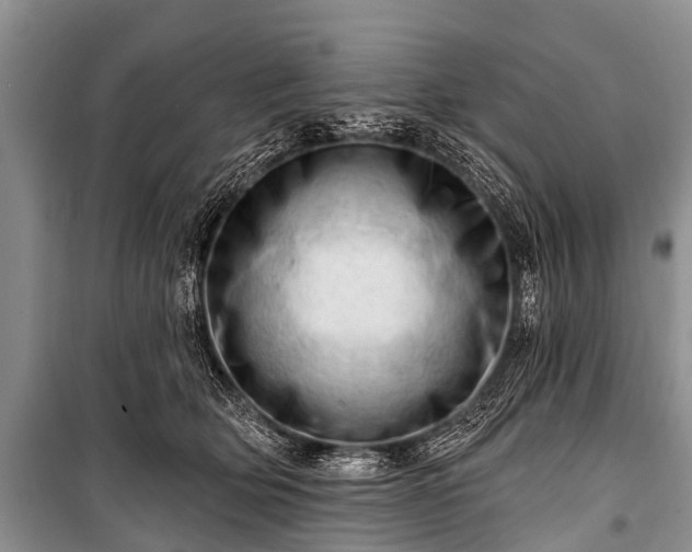X0000100960514200807011336