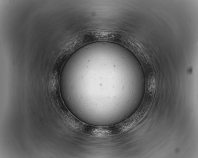 X0000100960515200807011336