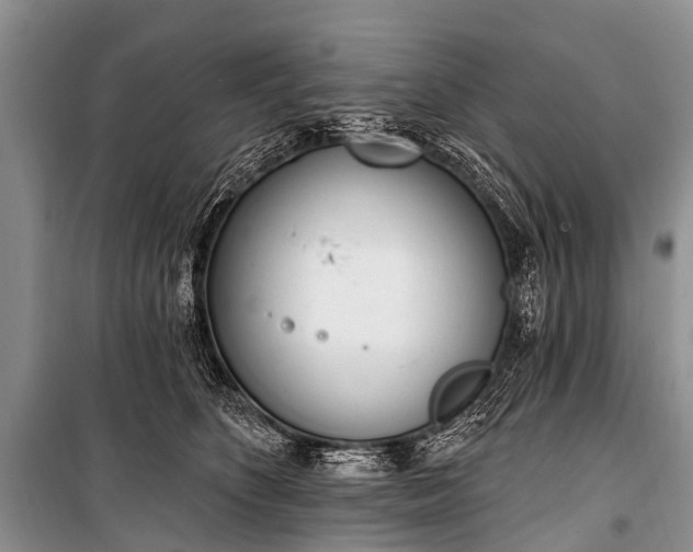 X0000100960516200807011336