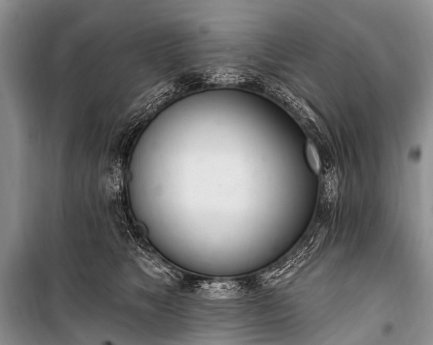 X0000100960517200807011336