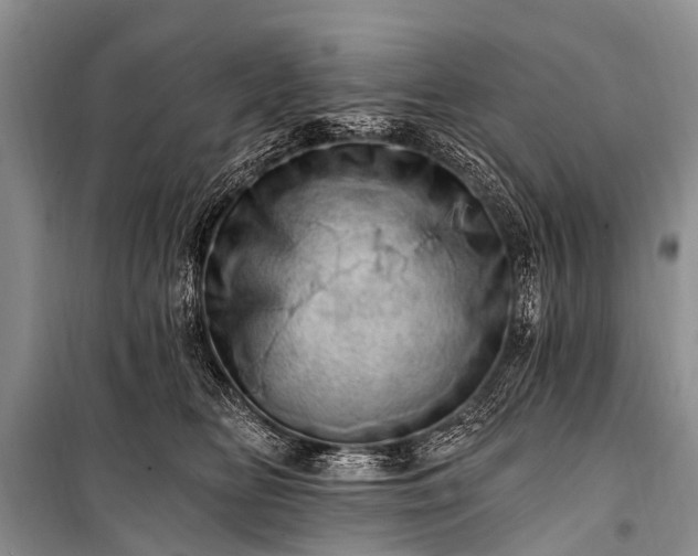 X0000100960518200807011335