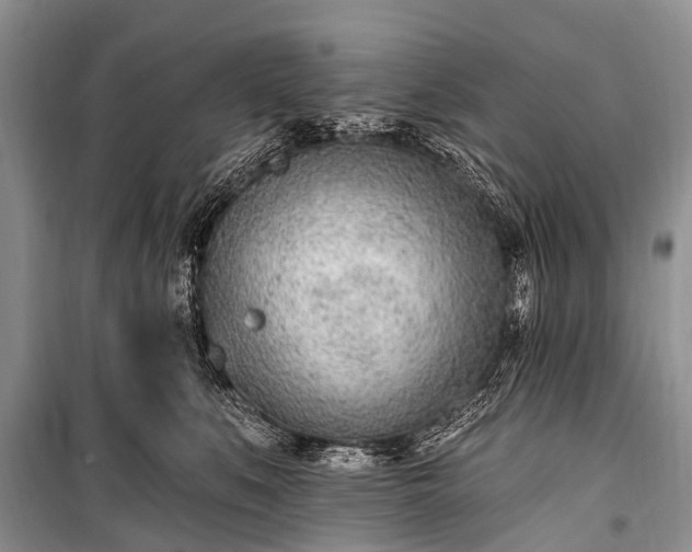 X0000100960519200807011335