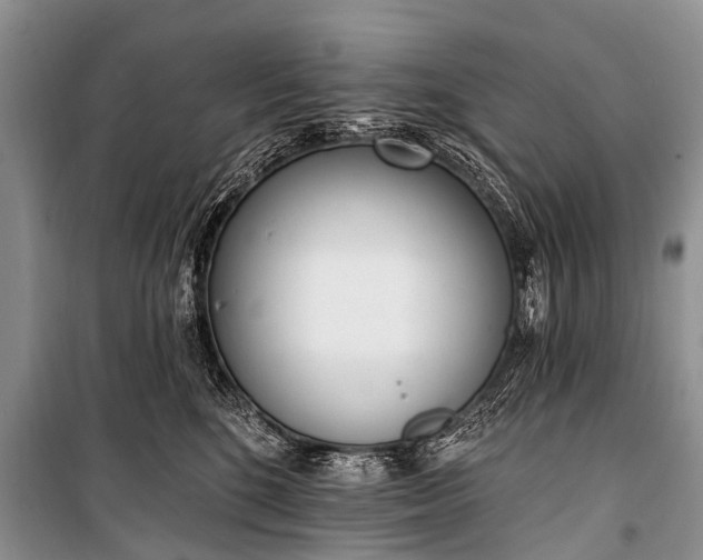 X0000100960520200807011335
