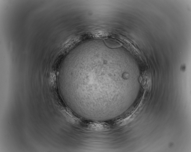 X0000100960523200807011335