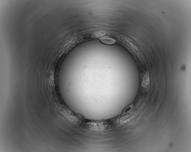 X0000100960524200807011335