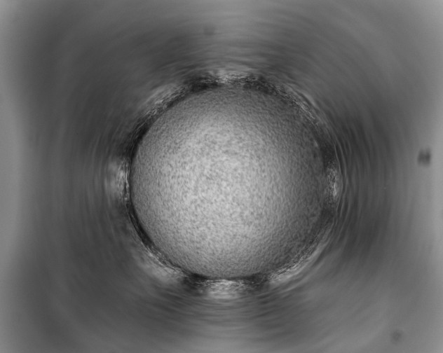 X0000100960527200807011335