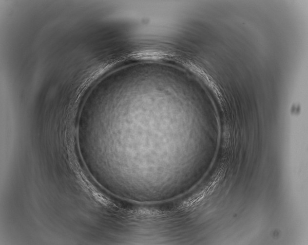 X0000100960529200807011335