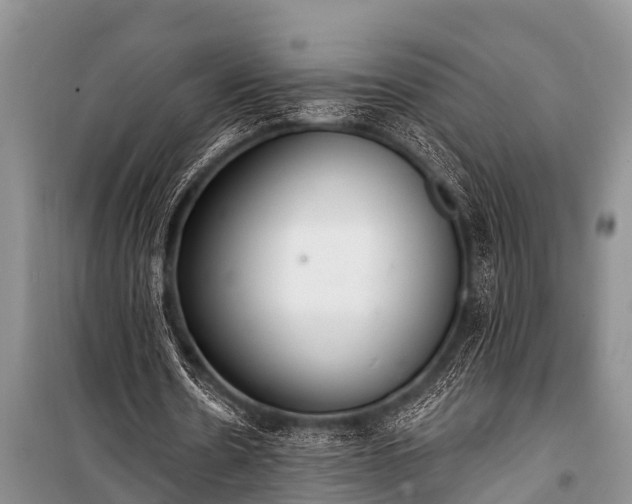 X0000100960530200807011335