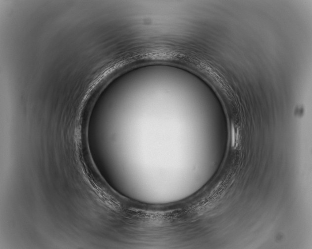 X0000100960531200807011335