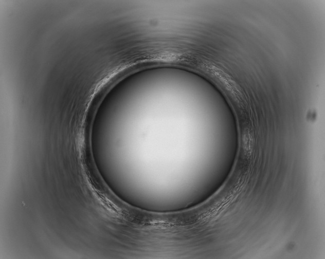 X0000100960532200807011335