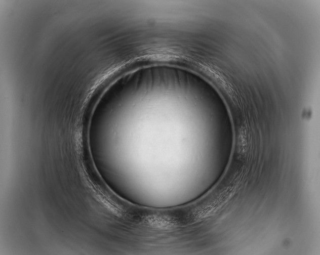 X0000100960535200807011335