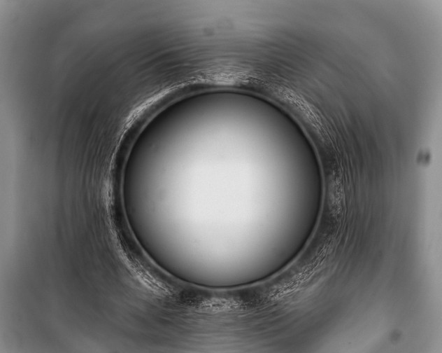 X0000100960536200807011335