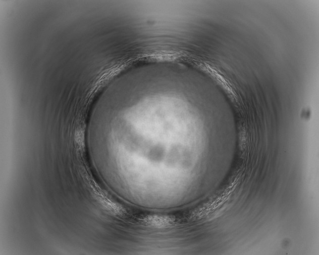 X0000100960537200807011335