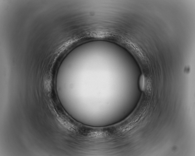 X0000100960540200807011335