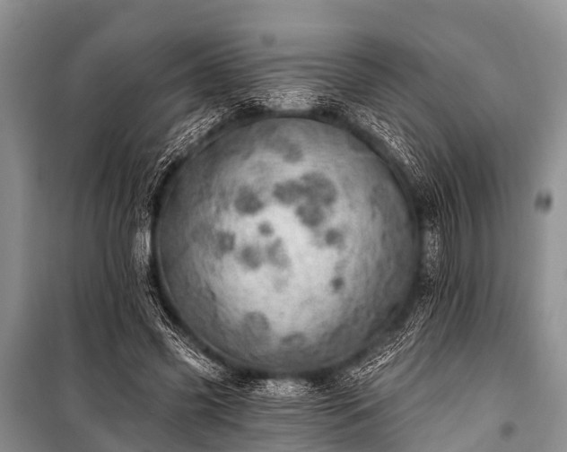 X0000100960541200807011335