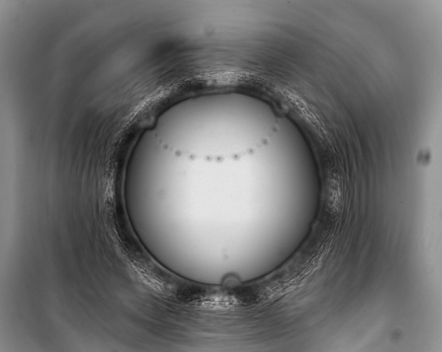 X0000100960543200807011335