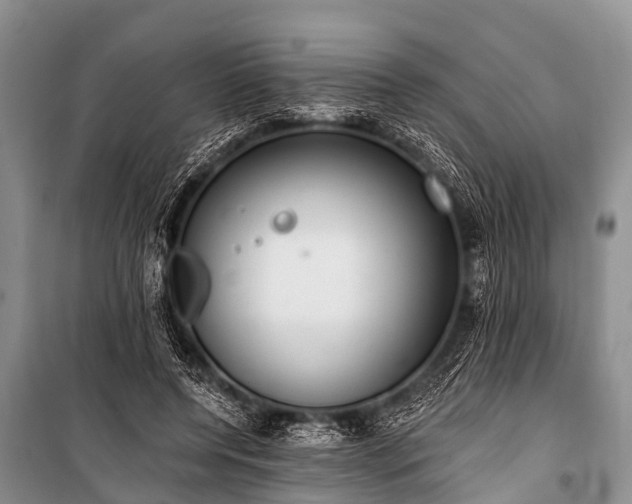 X0000100960544200807011335