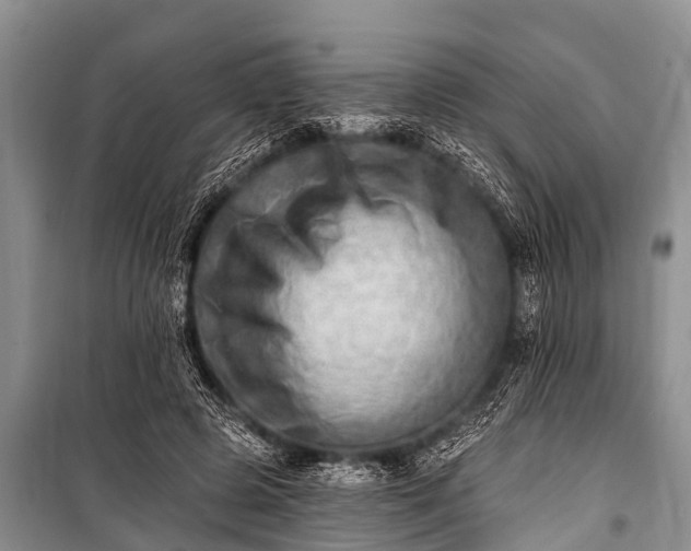 X0000100960545200807011335
