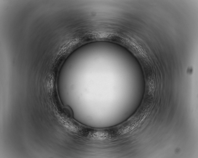X0000100960546200807011335