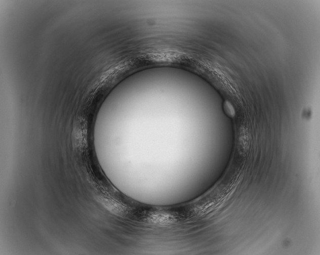 X0000100960547200807011335
