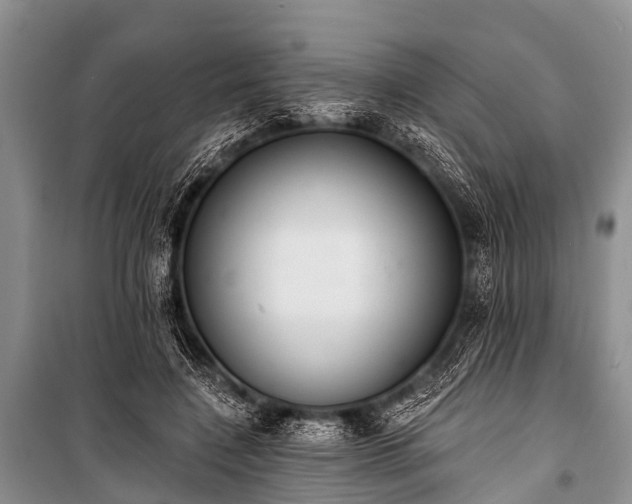 X0000100960548200807011335