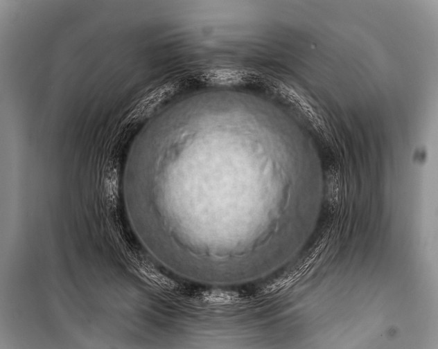 X0000100960549200807011335