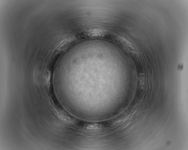 X0000100960550200807011335
