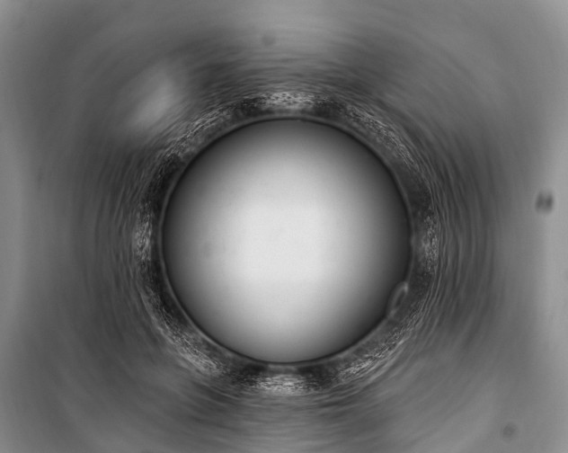 X0000100960551200807011335