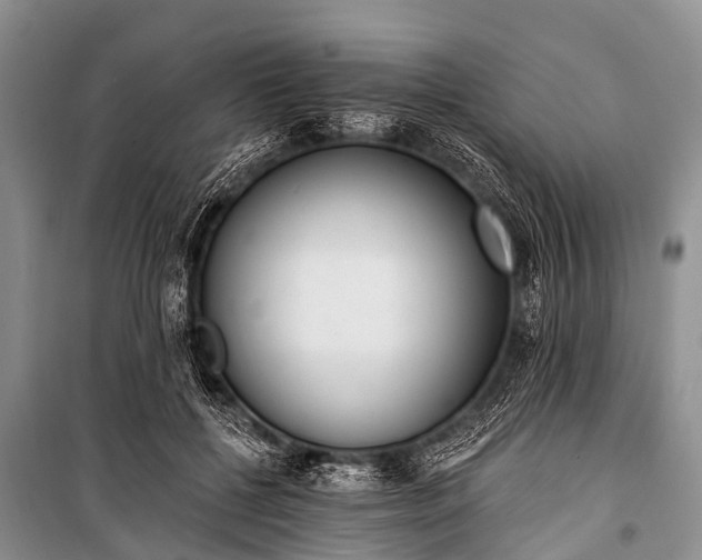 X0000100960552200807011335