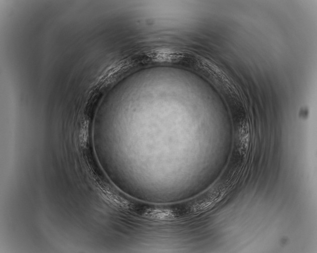 X0000100960554200807011335