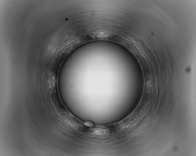 X0000100960555200807011335