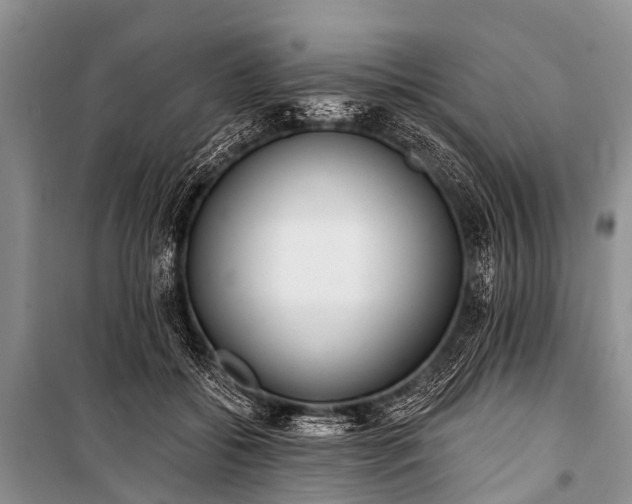 X0000100960556200807011335