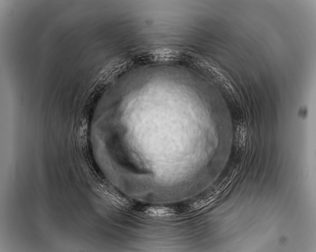 X0000100960557200807011335