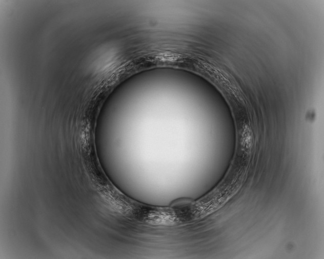 X0000100960559200807011335