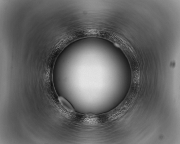 X0000100960560200807011335