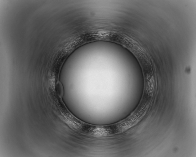 X0000100960562200807011335