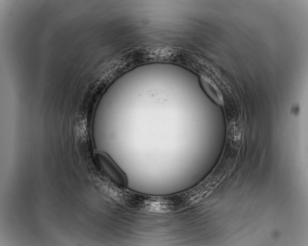 X0000100960564200807011335