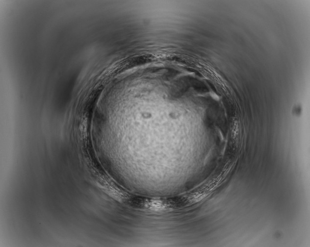 X0000100960565200807011335