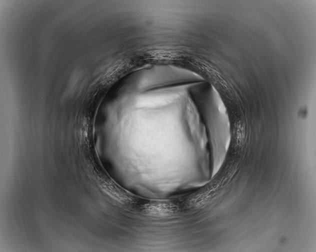 X0000100960567200807011335