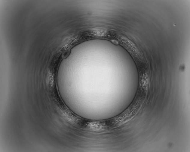 X0000100960568200807011335