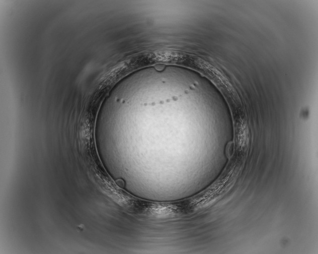 X0000100960569200807011335