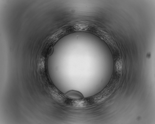 X0000100960570200807011335