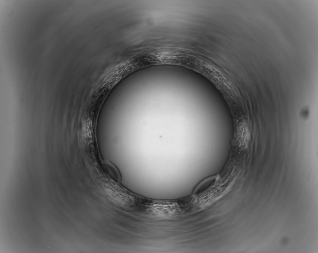 X0000100960571200807011335