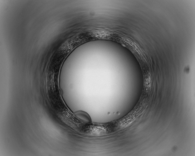 X0000100960572200807011335