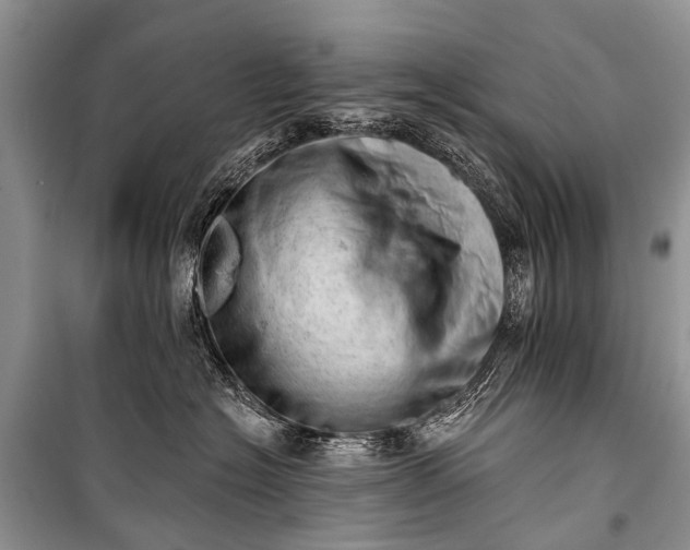 X0000100960574200807011335