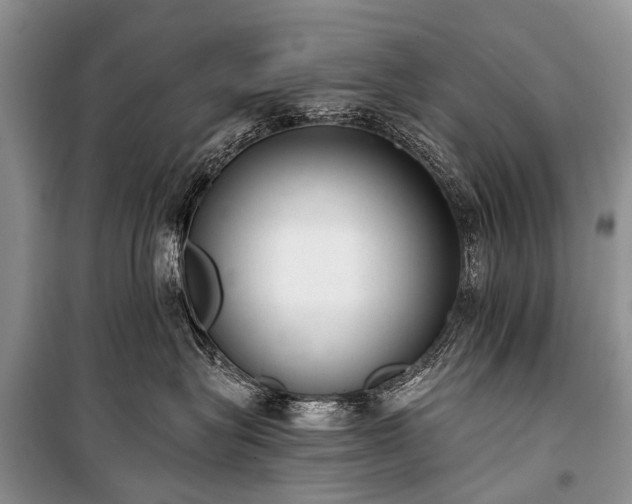 X0000100960575200807011335