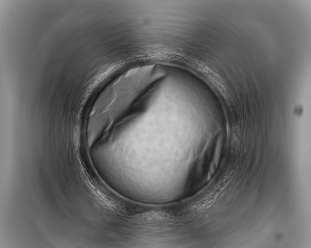 X0000100960578200807011334