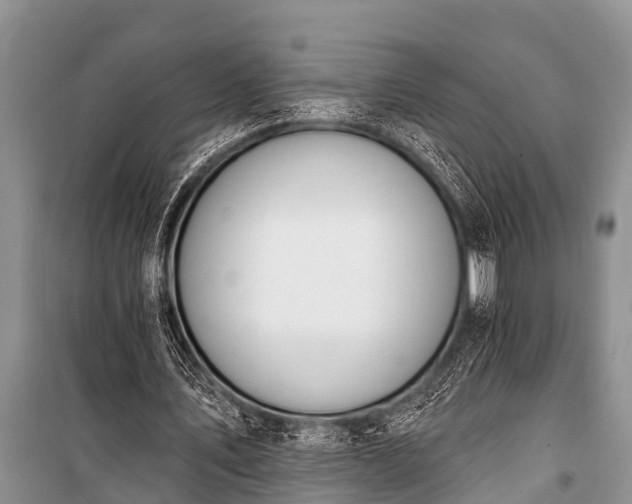 X0000100960579200807011334