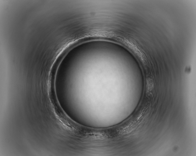 X0000100960580200807011334