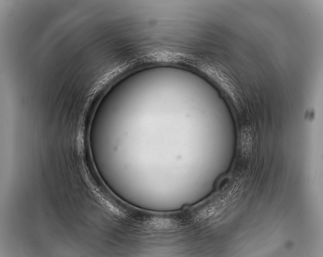 X0000100960581200807011334